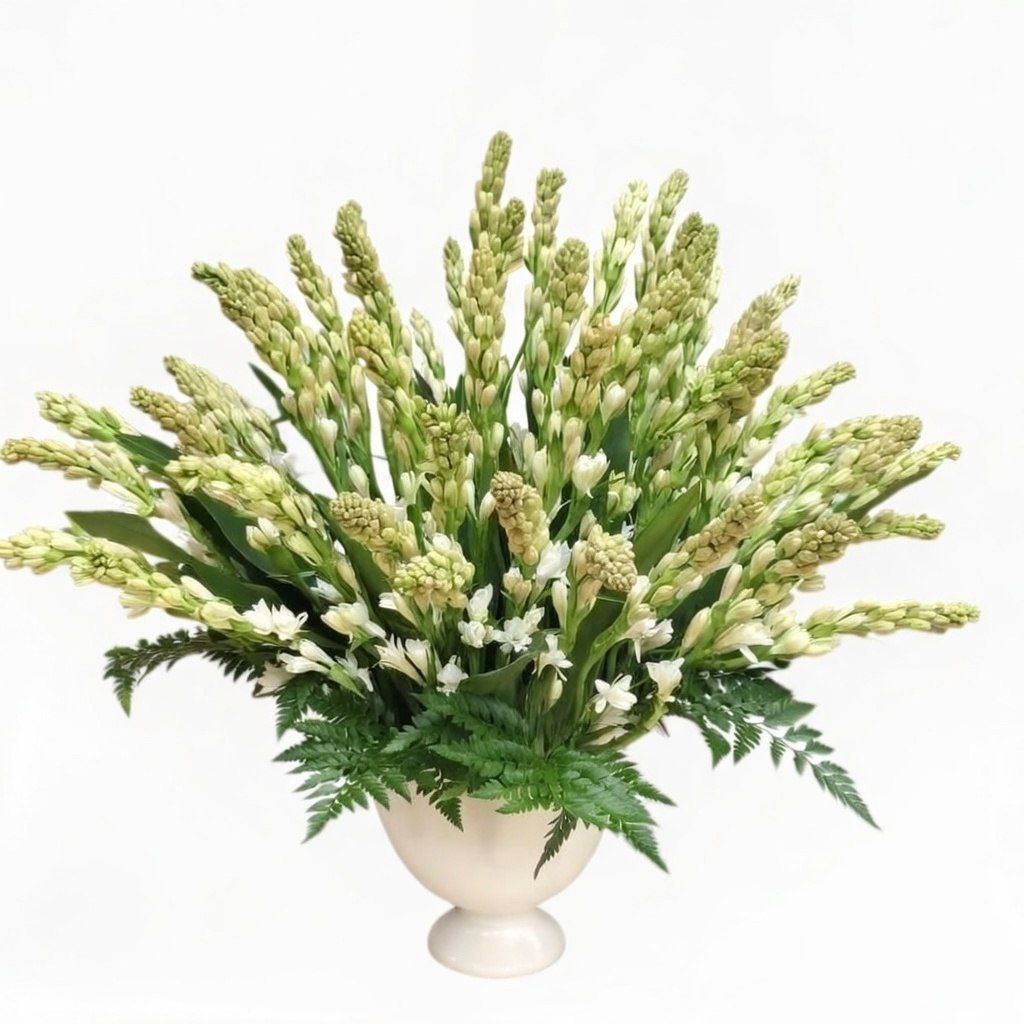 IMG_20260204_095442_011